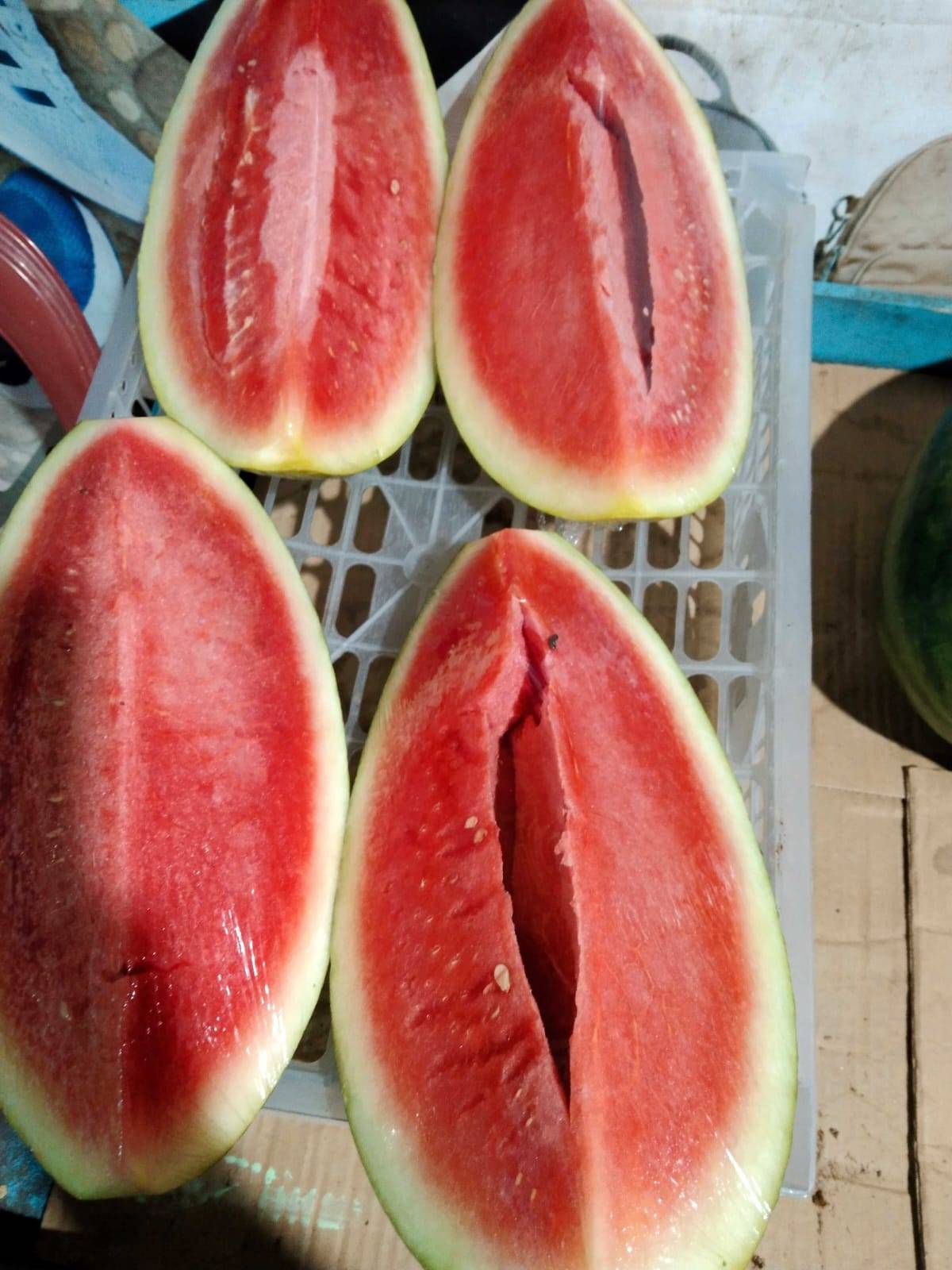 Berkah buah, snack dan catering 